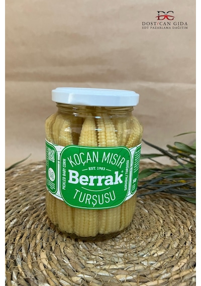 Mısır Koçanı Turşusu 340g