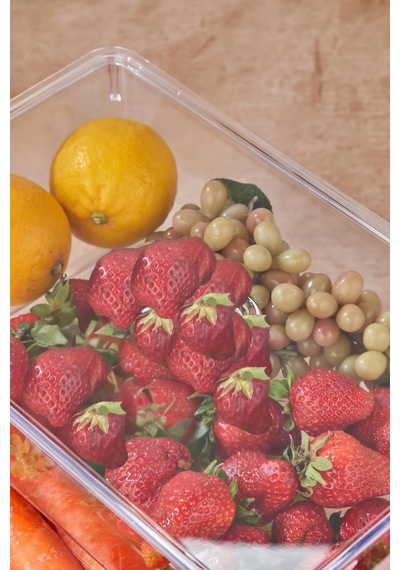 3 Lü Kapaklı Buzdolabı Organizeri & Buzdolabı Düzenleyici 3 Lt