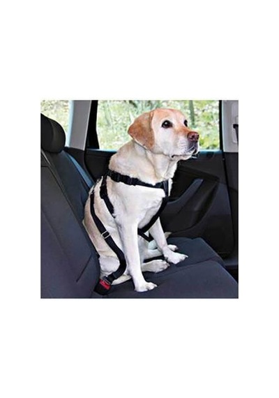 Northcity Köpek Emniyet Kemeri Medium 50-70 Cm - Rahatlık Ve Güvenli Yürüyüş İçin Mükemmel Seçim