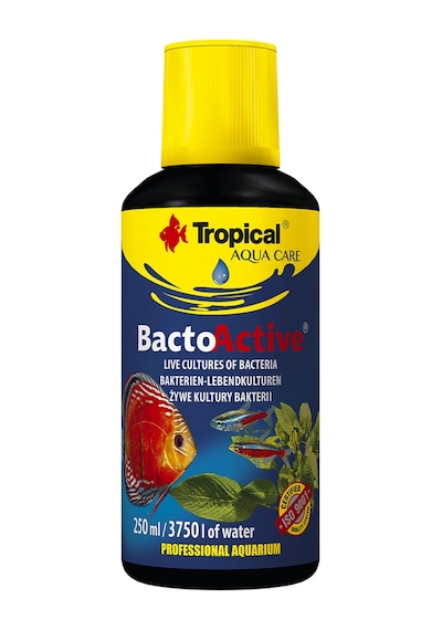 Tropical Bacto Active 250ml Bakteri Kültürü