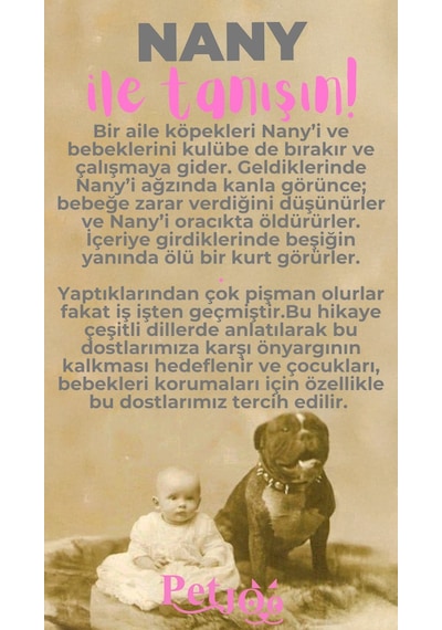 Petjoo 17.Nany Pembe-Gri Qr'lı Köpek Künyesi