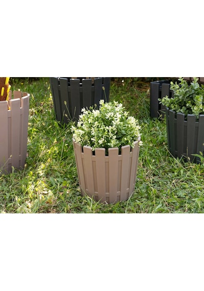 3,5 Litre Saksı