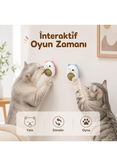 Sogud Kedi Nanesi Oyuncağı - Duvara Yapışan 360 Dönen Catnip Topu - Kapaklı Kedi Otu Yalama Topu - Sevimli Hayvan Tasarımlı İnteraktif Kedi Oyuncağı - Stok Durumuna Göre Renk Gönderilir Sogud Kedi Nanesi Oyuncağı - Duvara Yapışan 360 Dönen Catnip Topu - Kapaklı Kedi Otu Yalama Topu - Sevimli Hayvan Tasarımlı İnteraktif Kedi Oyuncağı - Stok Durumuna Göre Renk Gönderilir