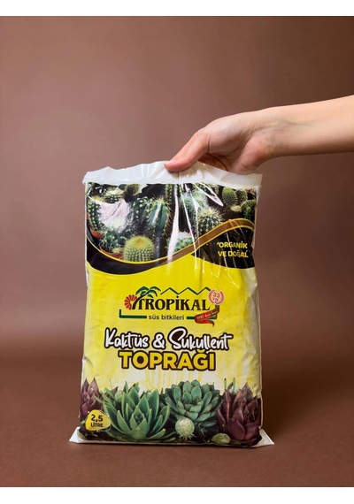 Kaktüs Ve Sukulent Toprağı 2,5 Litre Diğer