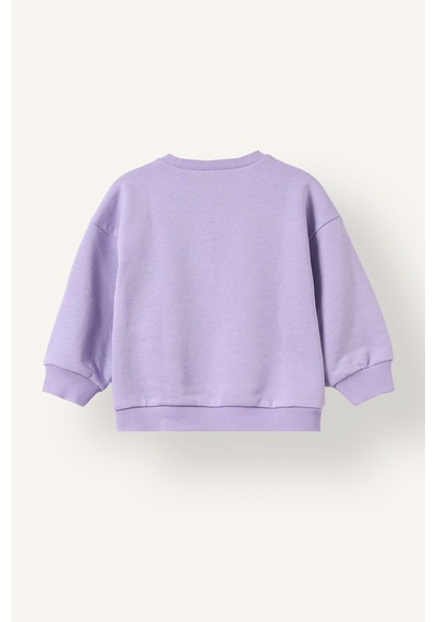 Defacto Bisiklet Yaka Baskılı Kalın Sweatshirt Kız Bebek I5084a526aupr251 Mor-pr251