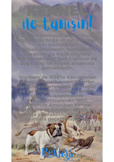 Petjoo 16.Kennel Mavi-Gri Qr'lı Köpek Künyesi