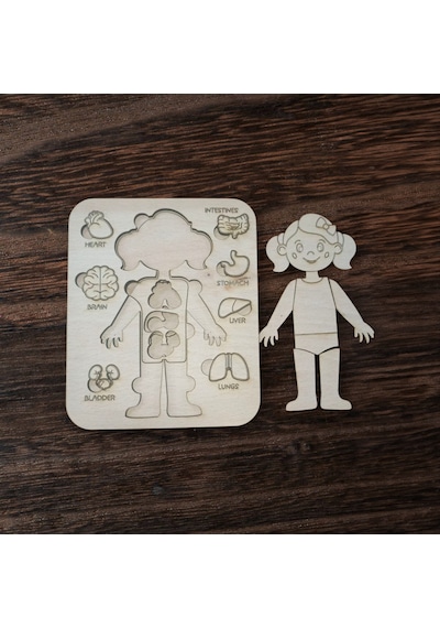 Ahşap Anatomi Puzzle Öğretici Organ Oyunu Kız/erkek