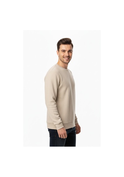 Baglan Erkek Büyük Beden Sıfır Yaka Selanik Sweatshirt Bgl-st04871 Taş