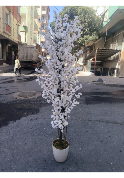 Rüzgar Yapay Çiçekçilik 180 Cm Beyaz Saksıda Beyaz Bahardali Ağacı Beyaz
