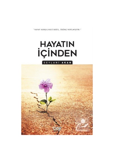 Hayatın İçinden / Geylani Akan 9786257810920