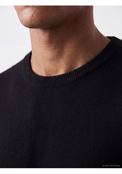 Lcw Vision Siyah Bisiklet Yaka Regular Fit Erkek Triko Kazak