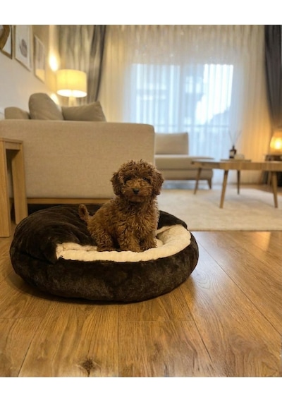 Kanguru Model Yuvarlak Kedi/köpek Yatağı