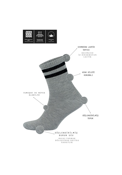 Kral Socks Kadın Erkek Düz Çizgili 10 Çift Çeyrek Soket Tenis Model Pamuklu Terletmez Çorap Seti Asorti