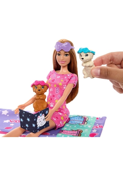 Hxn01 Yavru Köpekçikleri Pijama Partisi