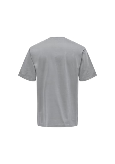 Only & Sons Onsfred % 100 Pamuk Relaxed Fit Bisiklet Yaka T Shirt Erkek T Shirt 22022532 Füme Only & Sons Onsfred % 100 Pamuk Relaxed Fit Bisiklet Yaka T Shirt Erkek T Shirt 22022532 Füme