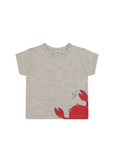 Antebies Organik Gri Melanj Yengeç Baskılı Kısa Kollu Erkek Bebek Tshirt