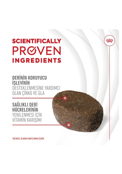 Skin&coat Chews Deri Ve Tüy Sağlığını Destekleyen Tamamlayıcı Ödül Maması 240g
