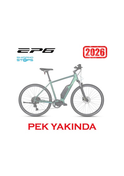 Carraro E-sportive 6.6 Elektrikli Şehir Bisikleti Bukalemun M/46cm Siyah