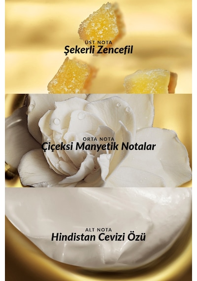 Attraction Intense Kadın Parfüm Ve Attraction Vücut Losyonu Paketi Çiçek