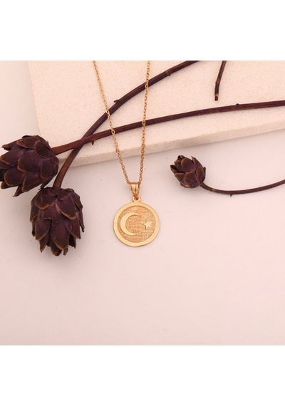 925 Ayar Altın Mikron Kaplama Ayyıldız Gümüş Kolye - Cn00397 Altın