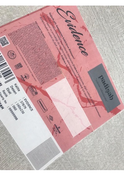 Padişah Halı Evidence 37879 060 Serisi Viskon Akrilik Salon Oturma Yatak Odası Halısı Krem