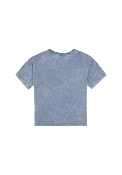 U.s. Polo Assn. Erkek Çocuk Mavi Tişört 50307308-vr036 Mavi