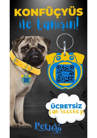 Petjoo 9.Konfüçyüs Mavi-Sarı Qr'lı Köpek Künyesi
