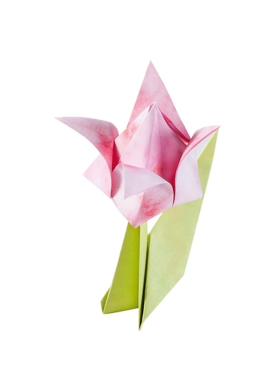40119-2 Farklı Boyutta Katlanır Yaprak Seti, 15 X 15 Cm Formatında 50 Yaprak + 7,5 X 7,5 Cm Formatında 120 Yaprak, 7 Desen, Harika Katlanır Figürler, Çiçekler Ve Kelebekler İçin