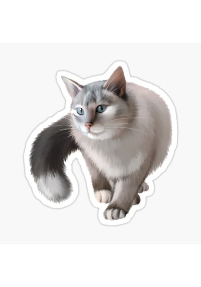 Cins Kedi Iran Kedisi Araba Oto Sticker Etiket Renkli V2