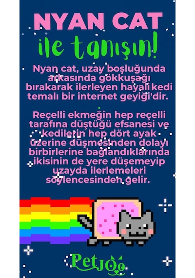Petjoo 2.Nyan Cat Yeşil-Pembe Qr'lı Kedi Künyesi