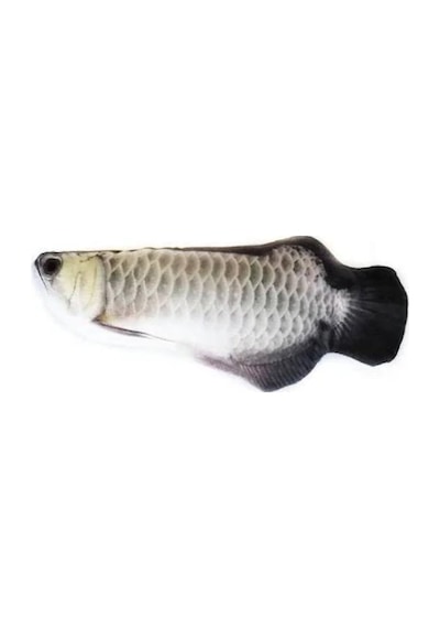 Peluş Arowana Balığı Kedi Oyuncağı 20 CM