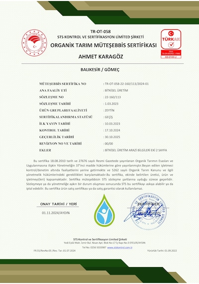 2 Lt Natürel Birinci Zeytinyağı 2025/26 Oliveart Soğuk Sıkım Filtresiz