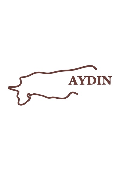 Aydın Harita Araba Sticker 17x17 Cm Kahverengi