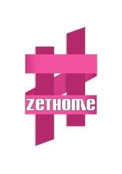 Zethome Paslanmaz Havluluk Uzun 40cm Çok Renkli