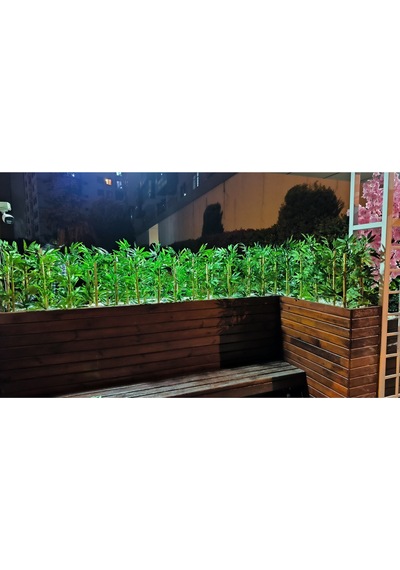 Rüzgar Yapay Çiçekçilik 50 Cm 20 Adet Bambu Yeşil