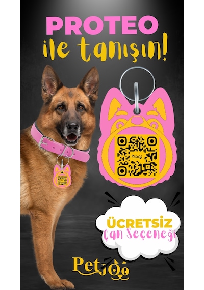 Petjoo 24.Proteo Sarı-Pembe Qr'lı Köpek Künyesi