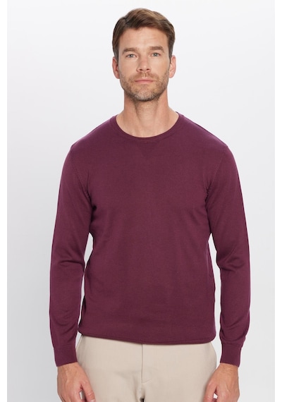 Tudors Erkek Standart Fit Normal Kesim Bisiklet Yaka Bordo Triko Kazak-25880