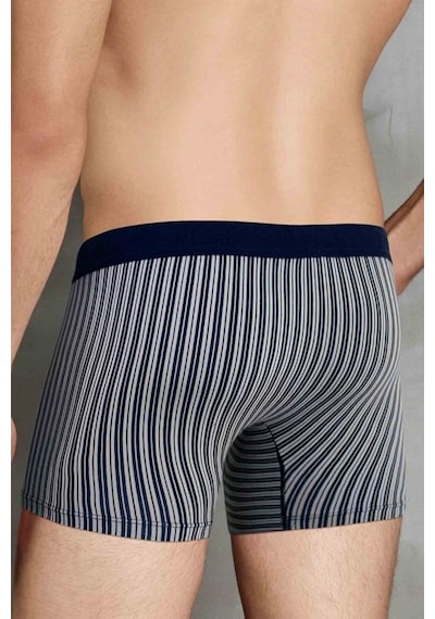 Doreanse Erkek Modal Çizgi Desenli Normal Paça Boxer 1866 (539992304)