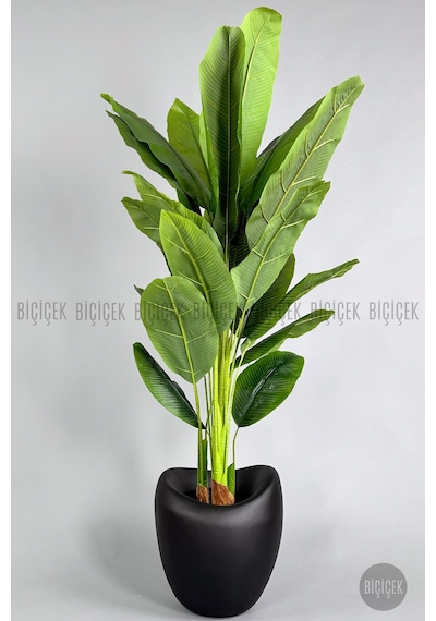 Biçiçek Yapay Muz Ağaci 210 Cm 4 Gövdeli̇ 21 Yaprak Mocha Lale Saksıda