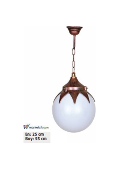 55X25 25 Lik Yapraklı Glop Model Bahçe Tavan Aydınlatma Apliği Diğer