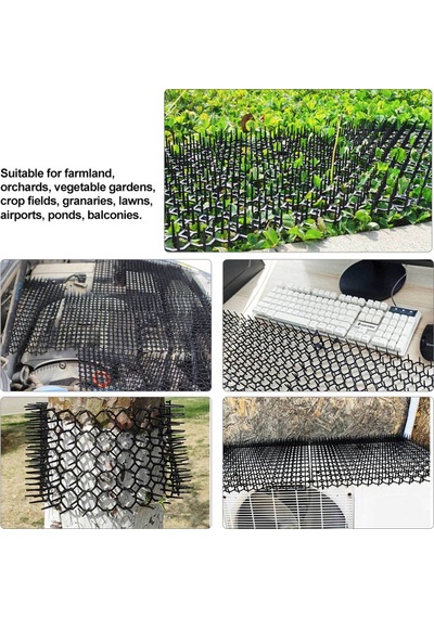 Mufunye kedi Spike Mat Küçük Kare Bahçe Kedi Kovucu 15 20cm Diğer