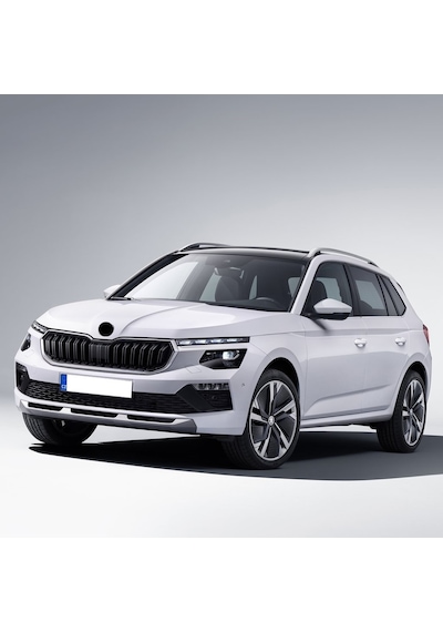 Skoda Kamiq 2024-2027 Sol Ön Kapı Kolu İç Yatak 5n0837885h