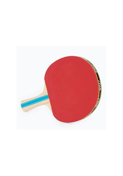 Stiga Bat Instınct Hobby Masa Tenis Raketi 1210-6318-01
