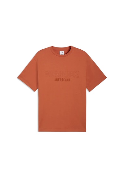 Puma Pl Lifestyle Tee Turuncu Erkek T-shirt