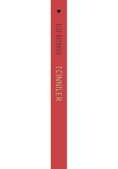 Ecinniler: Rus Edebiyatı ve Okurlarıyla Maceralar - Elif Batuman - Can Yayınları