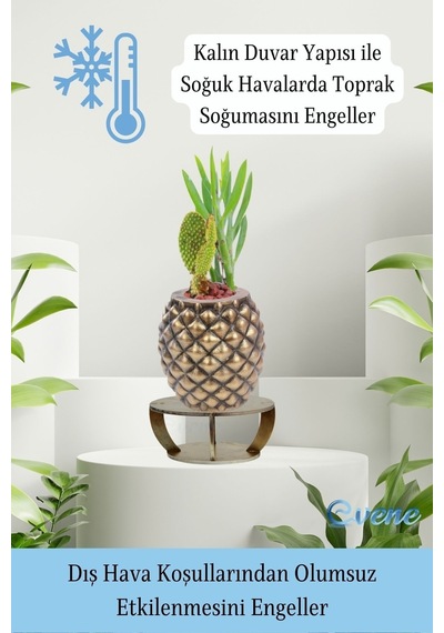 Ahşap Ayaklı Beton Saksı Büyük Boy 1 Adet Ananas Model - Altın Eskitme