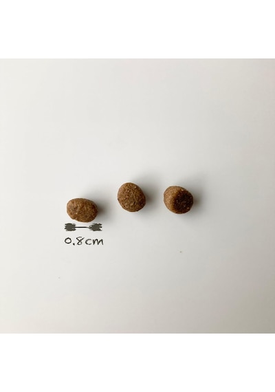 Lıder Low Grain Kuzu Etli Ve Yaban Mersinli Mini Ve Küçük Irk Yetişkin Köpek Maması 2,5kg