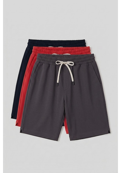 TOMMYLIFE Standart Fit 3lü Paket Lacivert-koyu Gri-fiesta Erkek Şort - 81314