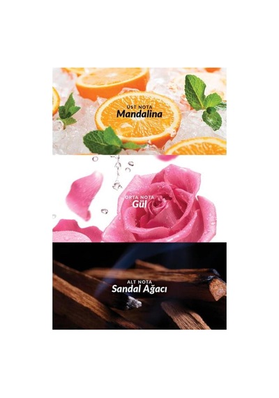 Lov U Kadın Connected Parfüm Edp 50ml. Ikili Set Aromatik