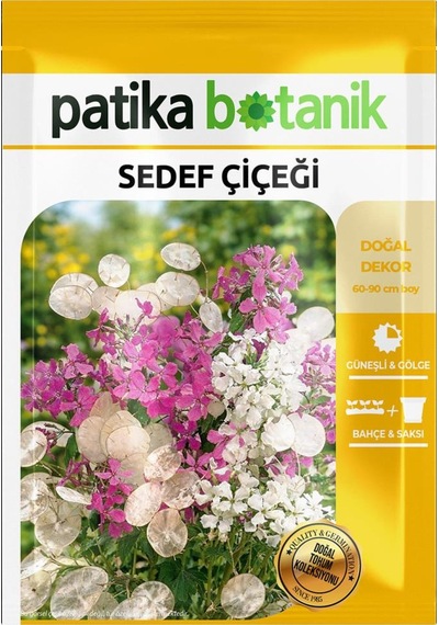 30 Adet S edef Çiçeği Tohumu (Lunaria Biennis)